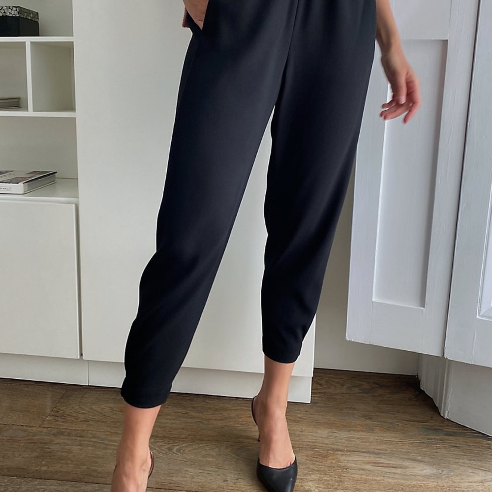 Aritzia; Babaton Dexter Pant